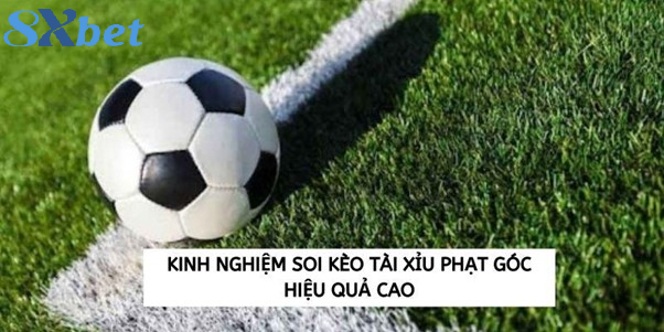 Chọn hiệp phù hợp giúp đánh tài xỉu phạt góc hiệu quả hơn