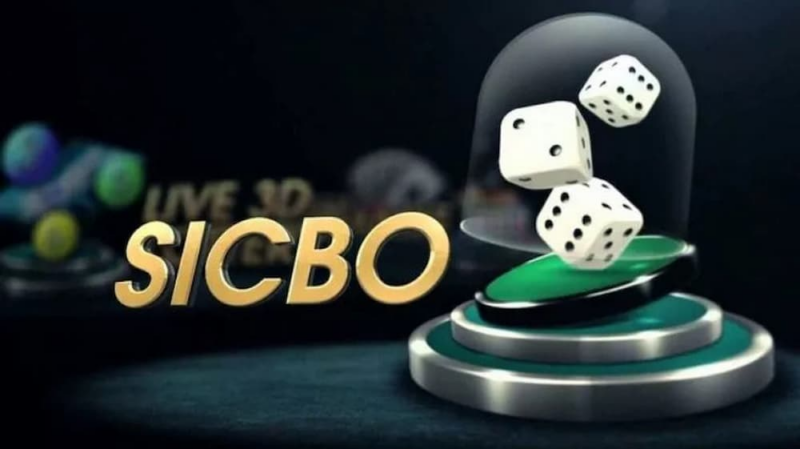 Các thuật ngữ cốt lõi thường gặp trong sicbo 8xbet