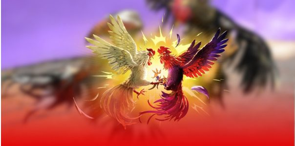 Ảnh hưởng của tướng gà đến thế trận đá gà cựa sắt