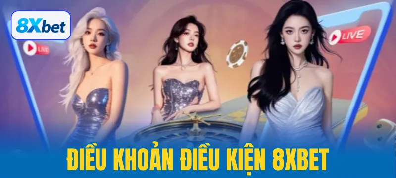 Điều khoản và điều kiện quy định rõ đối tượng và phạm vi áp dụng